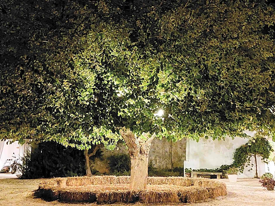 Masseria San Martino B&B – Polignano a Mare, LA