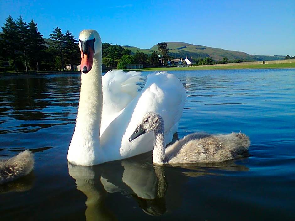 Min y Don Guest House