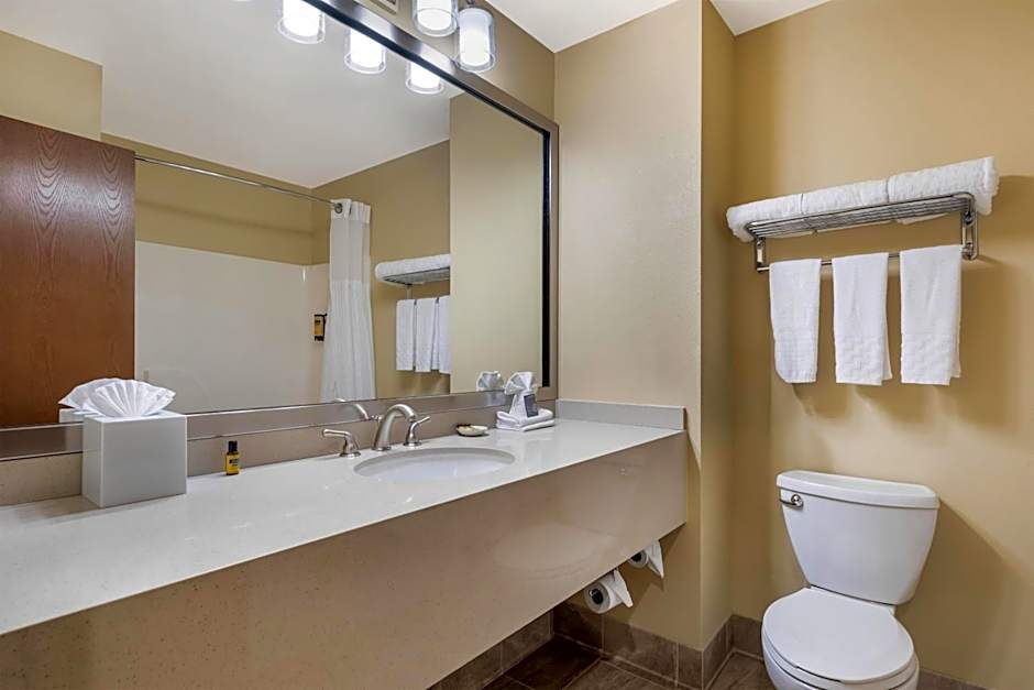 Best Western Plus Plaza By The Green