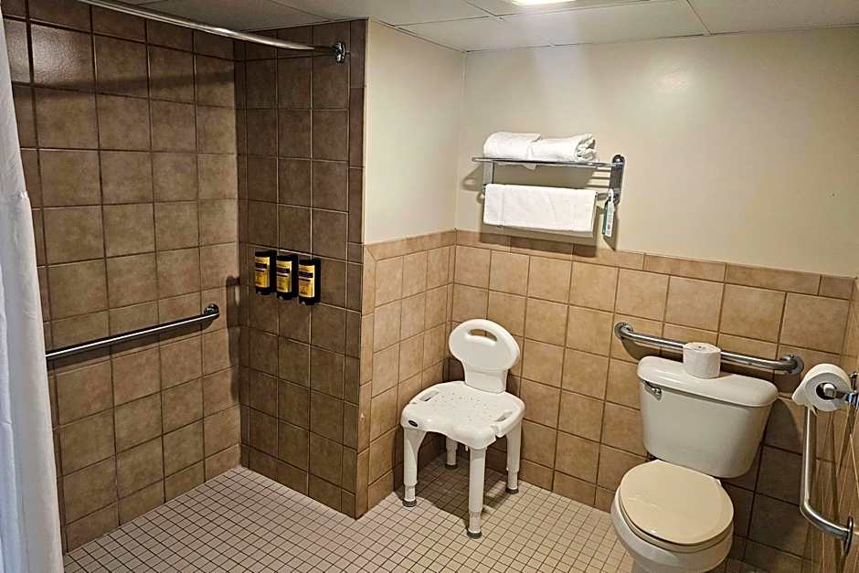 Americinn by Wyndham Birch Run/Frankenmuth