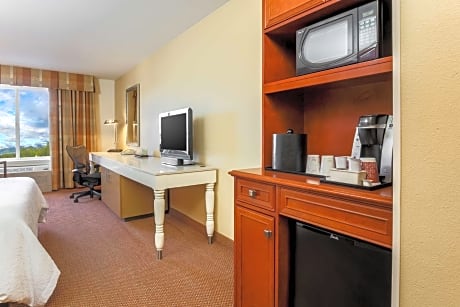 1 king bed with mountain view,comp wifi-hdtv with hidef channels,refrigerator-microwave-mp3 clock-pod coffee b