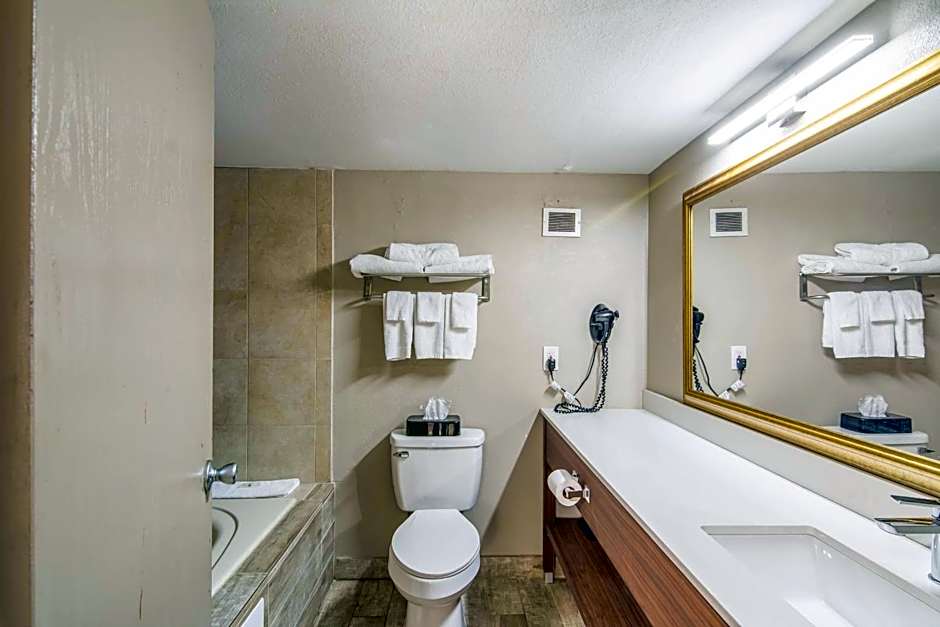 Quality Inn Rochester West