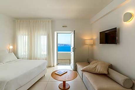 Double Room with Terrace