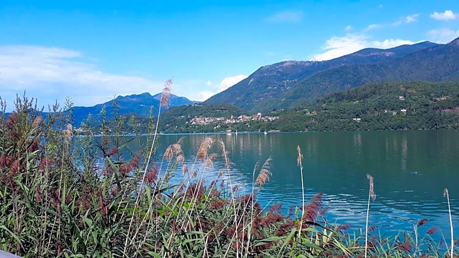 Nature Bio Hotel Elite