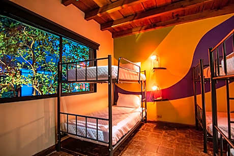 Bed in 6-Bed Mixed Dormitory Room