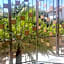 Palmas de Chahue