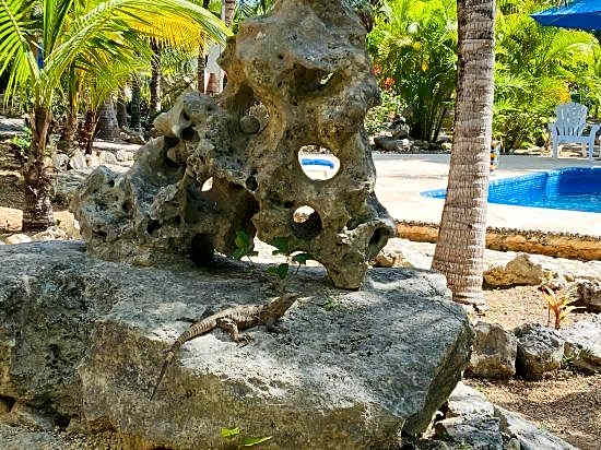 Villa Tortugas