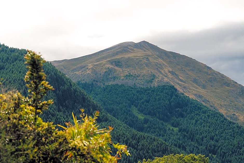 The Central Hotel Queenstown, A Naumi Chapter