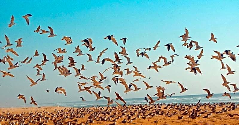 Les Hébergements Nature et Bien-être