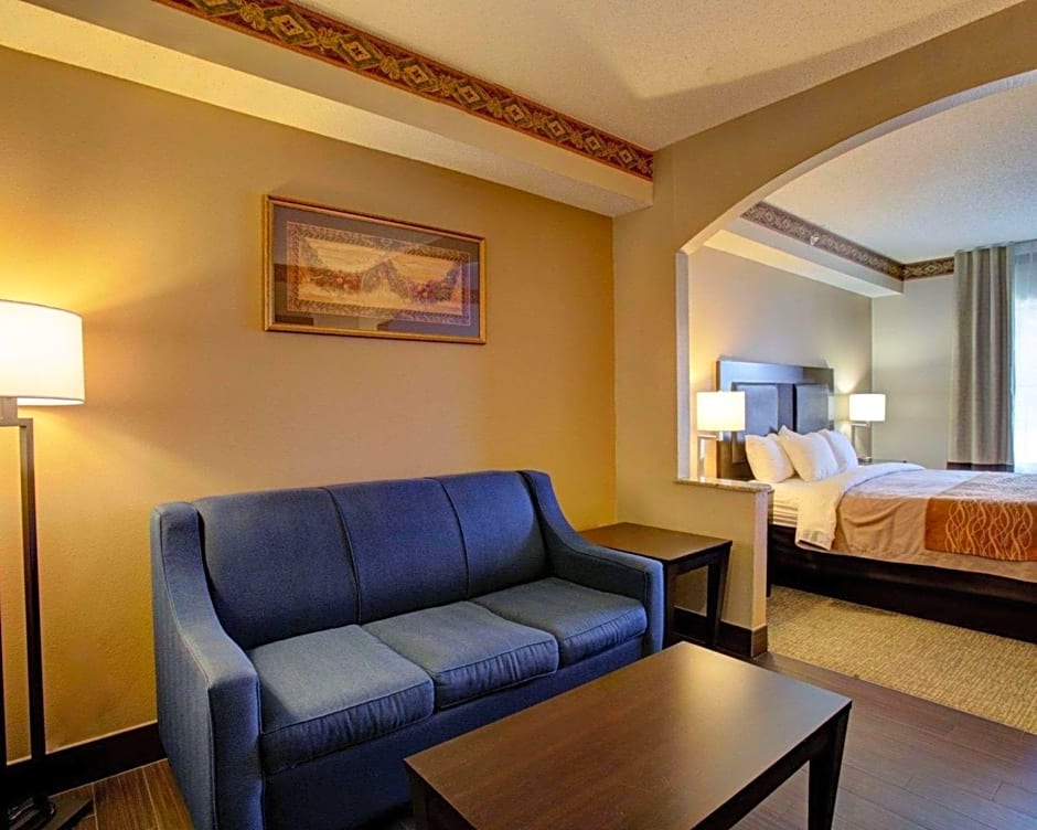 Comfort Inn & Suites Seguin