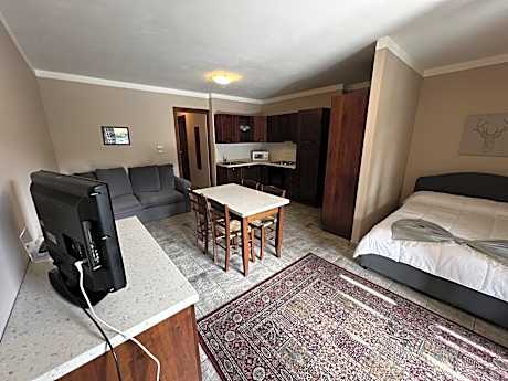 One-Bedroom Apartment with Mountain View