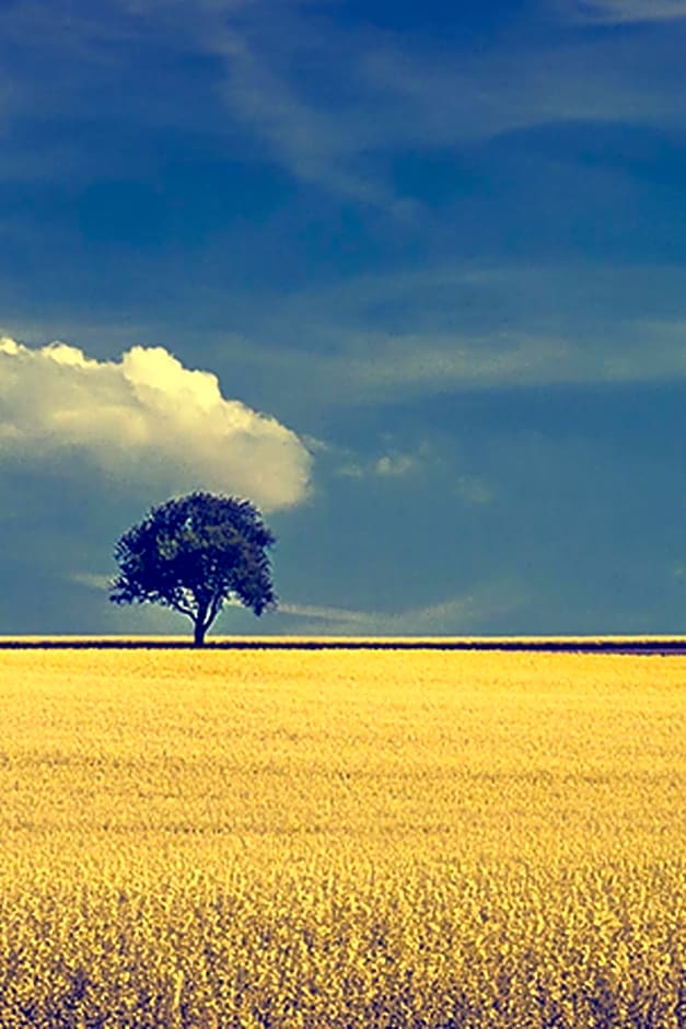 Somerleyton Meadows - The Hideaway Hut & Hot Tub