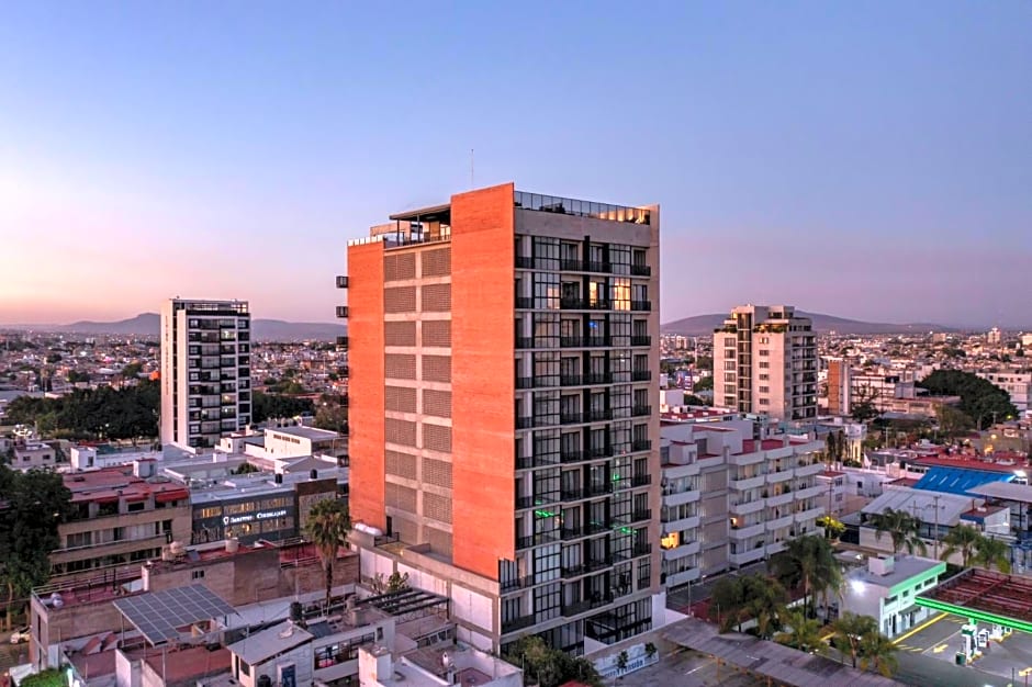 Eucalipto Flat Witgdl