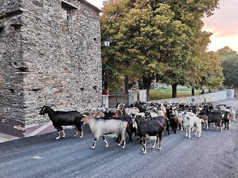 Chambre d'hôtes couvent d'Alando