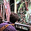 Chambers Wildlife Rainforest Lodges