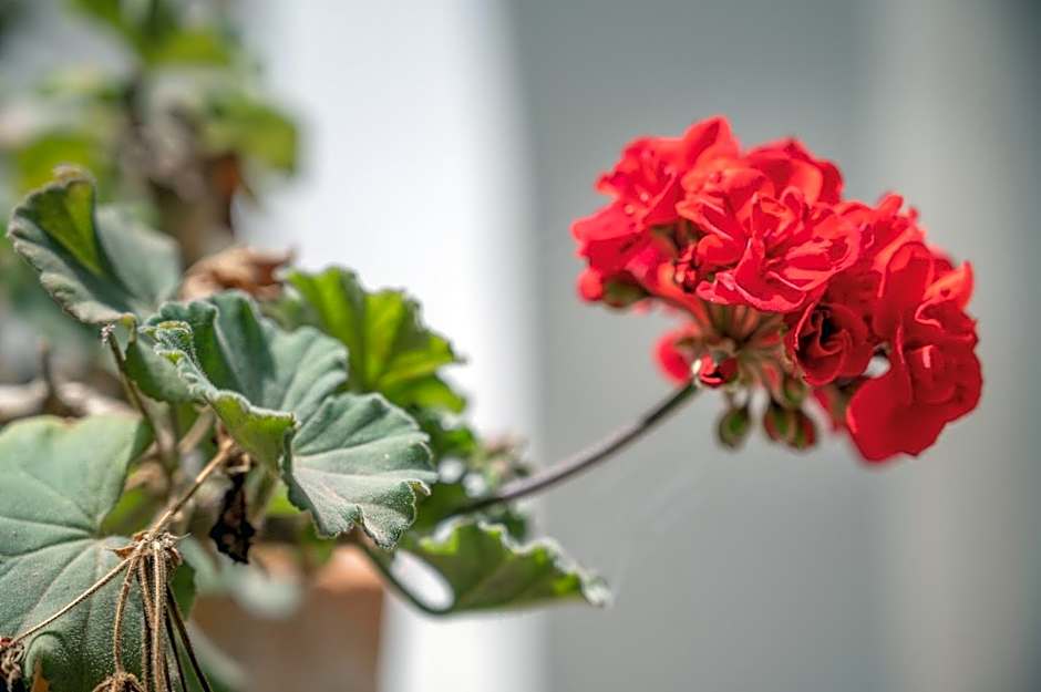 Wonderful 5 Bed Villa With Private