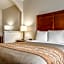 Comfort Inn & Suites Oakland