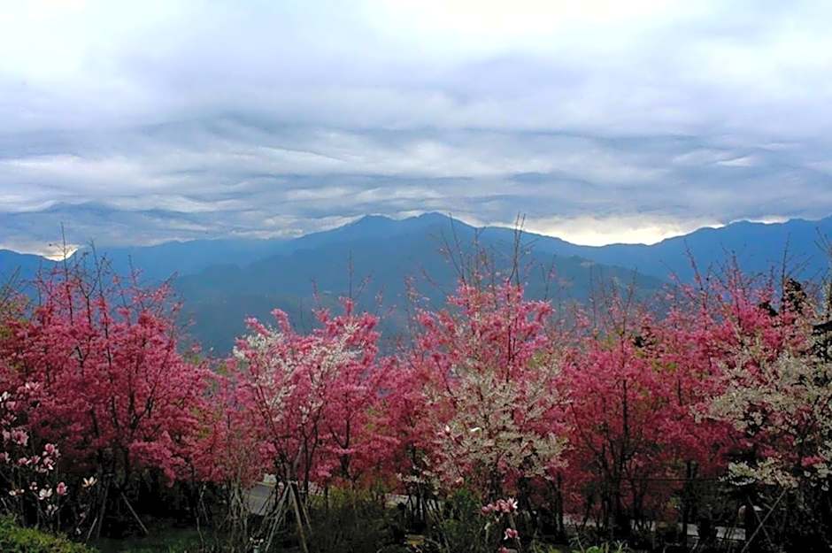 Liching Garden Villa