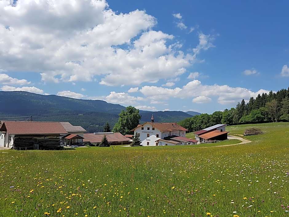 Osserhotel - B&B am Osser