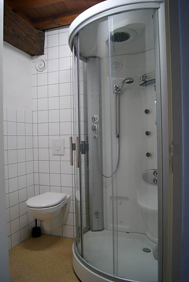 De Zevenster centrum