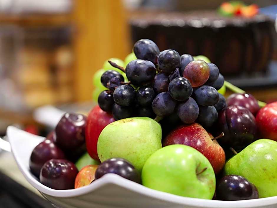Ibis Salvador Rio Vermelho