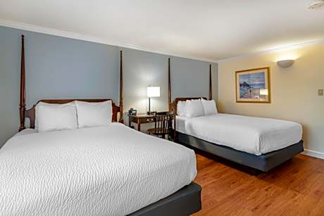 Double Queen - Pet Friendly