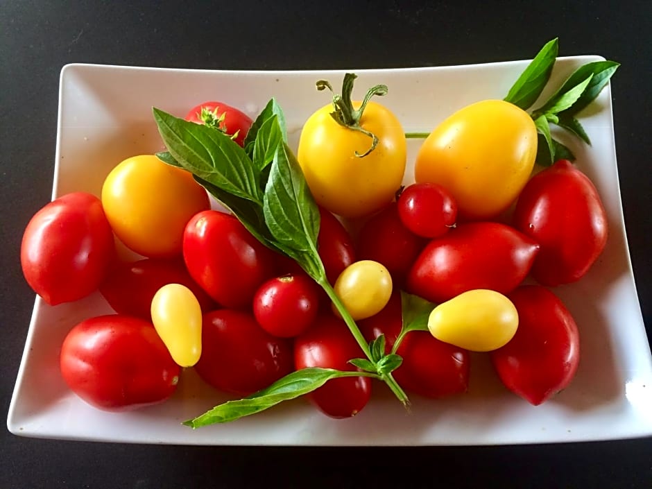 Bed & Breakfast Chez Lips