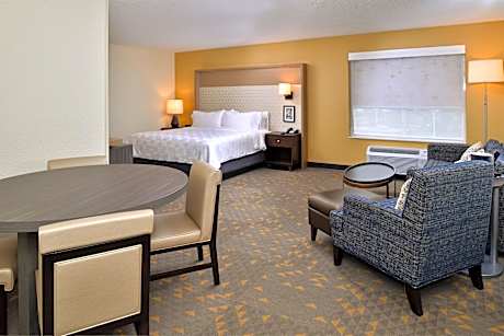 1 King Bed Executive Suite with Sofa Bed