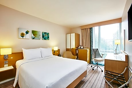 QUEEN ACCESSIBLE ROOM, CRISP WHITE DUVET/42 INCH LG TELEVISION, COMP WIFI/MODIFIED SHOWER ROOM/LAPTOP SAFE