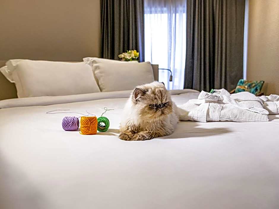 Photo 1 of 10 of Deluxe 1 King Bed Suite