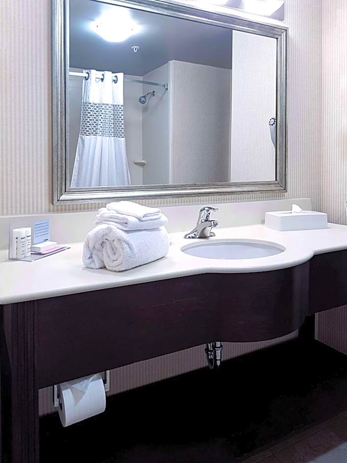 Hampton Inn By Hilton & Suites Edmonton International Airport