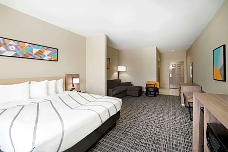 1 King Bed Deluxe Mobility Accessible Room Non-Smoking