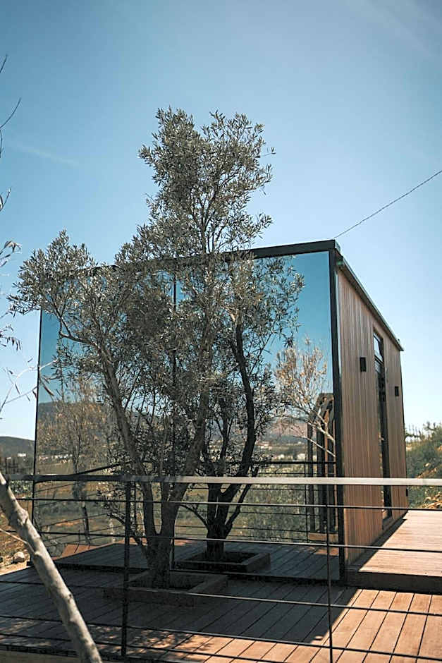 Bajo Estrellas Hotel Contemporáneo