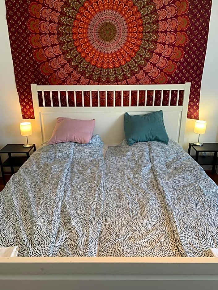 Cargo Rooms and Apartment