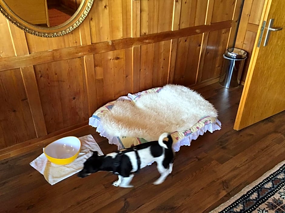 Wohlfühloase für Mensch und Hund