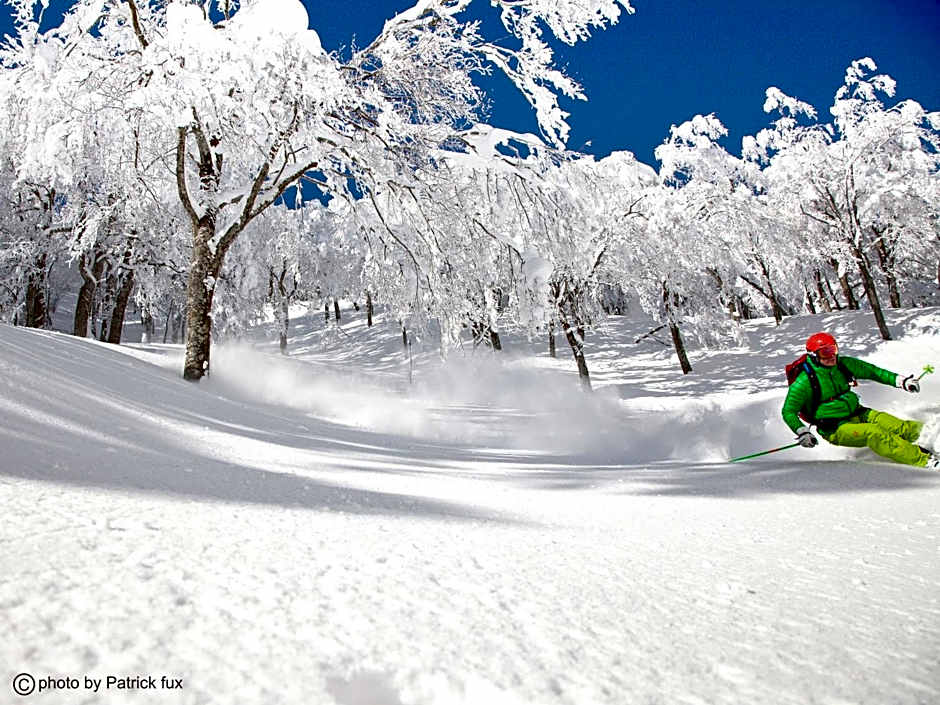 Hotel Green Plaza Hakuba