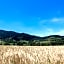 Landgasthof zum Schützen