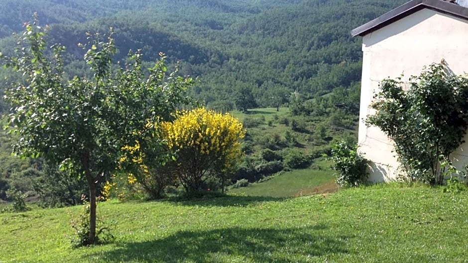 nido d'amore