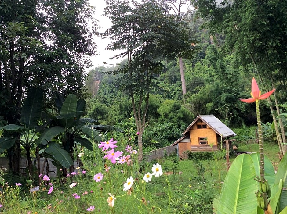 Chiang Dao Hut