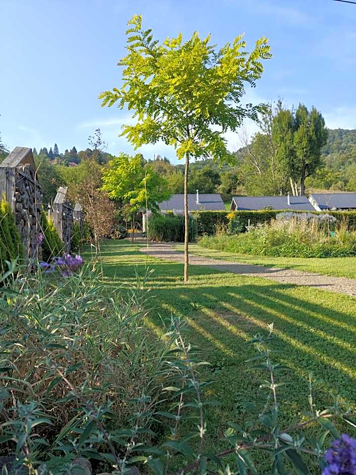 Leonówka Bieszczady