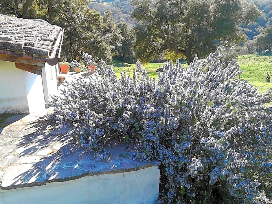 B&B I Menhir
