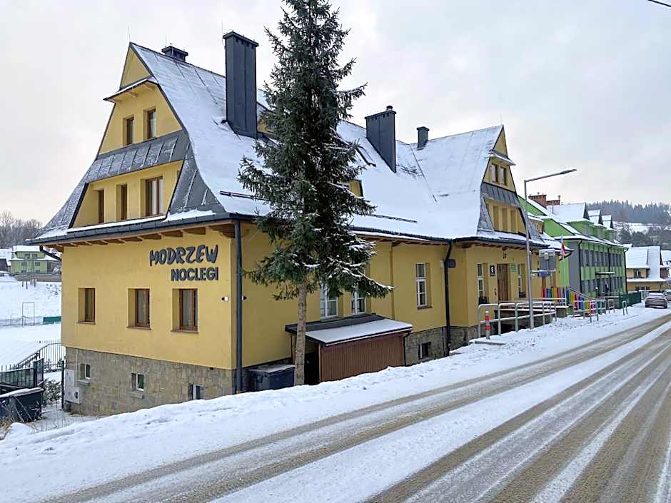 MODRZEW - noclegi w Pyzówce