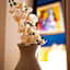 PARNIS PALACE Hotel Suites