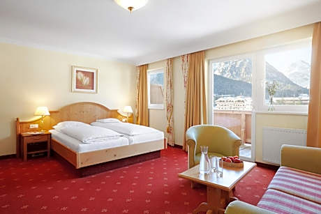 Comfort Double Room with Mountain View