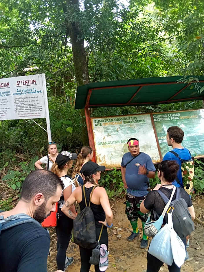 Jungle treking & Jungle Tour if you want to stay here,you must book treking only with us