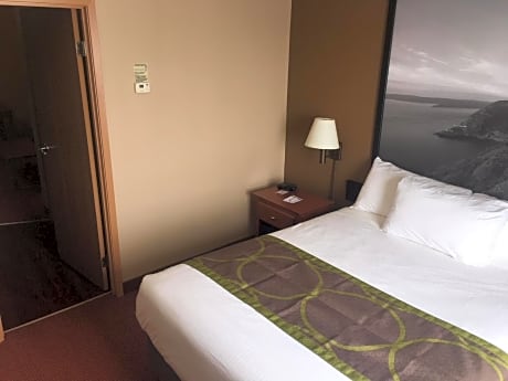 One-Bedroom Queen Suite - Non-Smoking