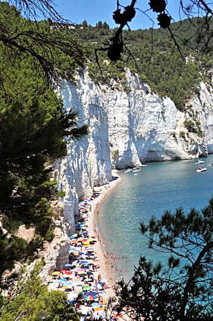 Vignanotica Beach Apartments