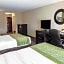 Comfort Suites West Indianapolis - Brownsburg