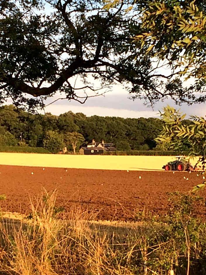 Bridleway Bed & Breakfast