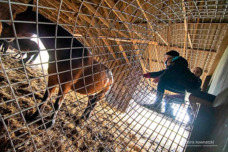 Bernsteinland Hirschburg